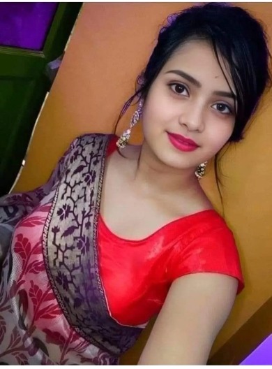 Ludhiana Call Girls